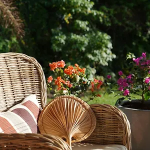 https://le-cosy-sainte-luce.comcaribbean.com